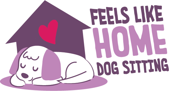 Feels Like Home Winter Haven for Dog sitting services.