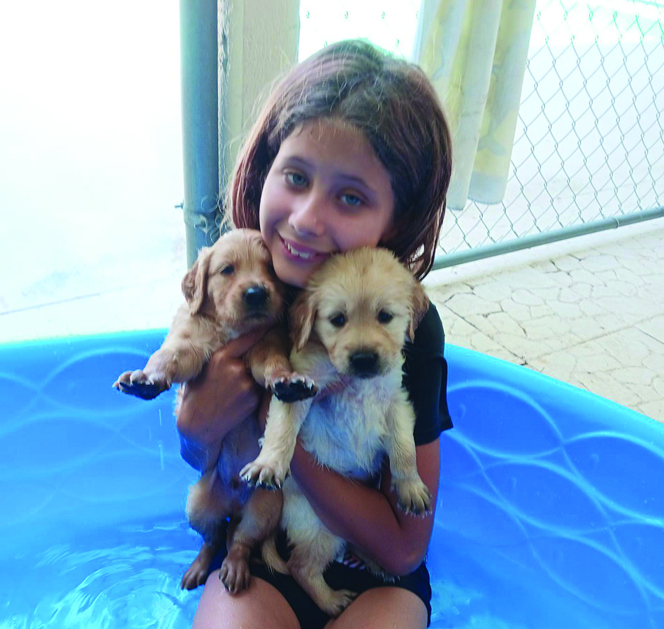 little girl holding two cute puppies
